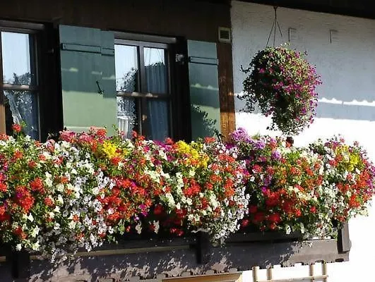 Appartement In Bad Bayersoien Mit Grossem Garten 0*,  Germany